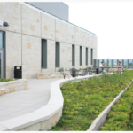 Living Roof creates Biodiversity in Construction